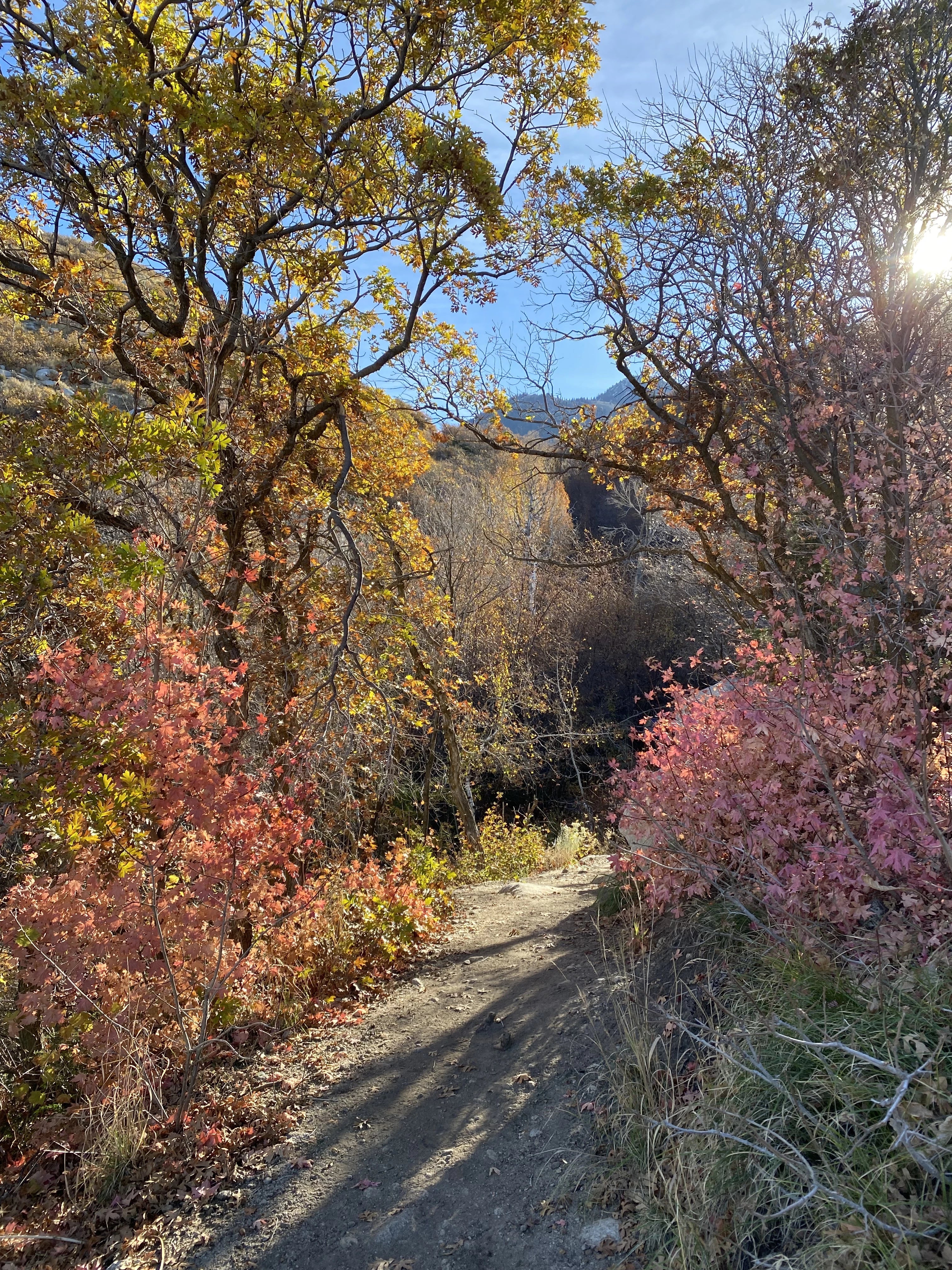 Hiking