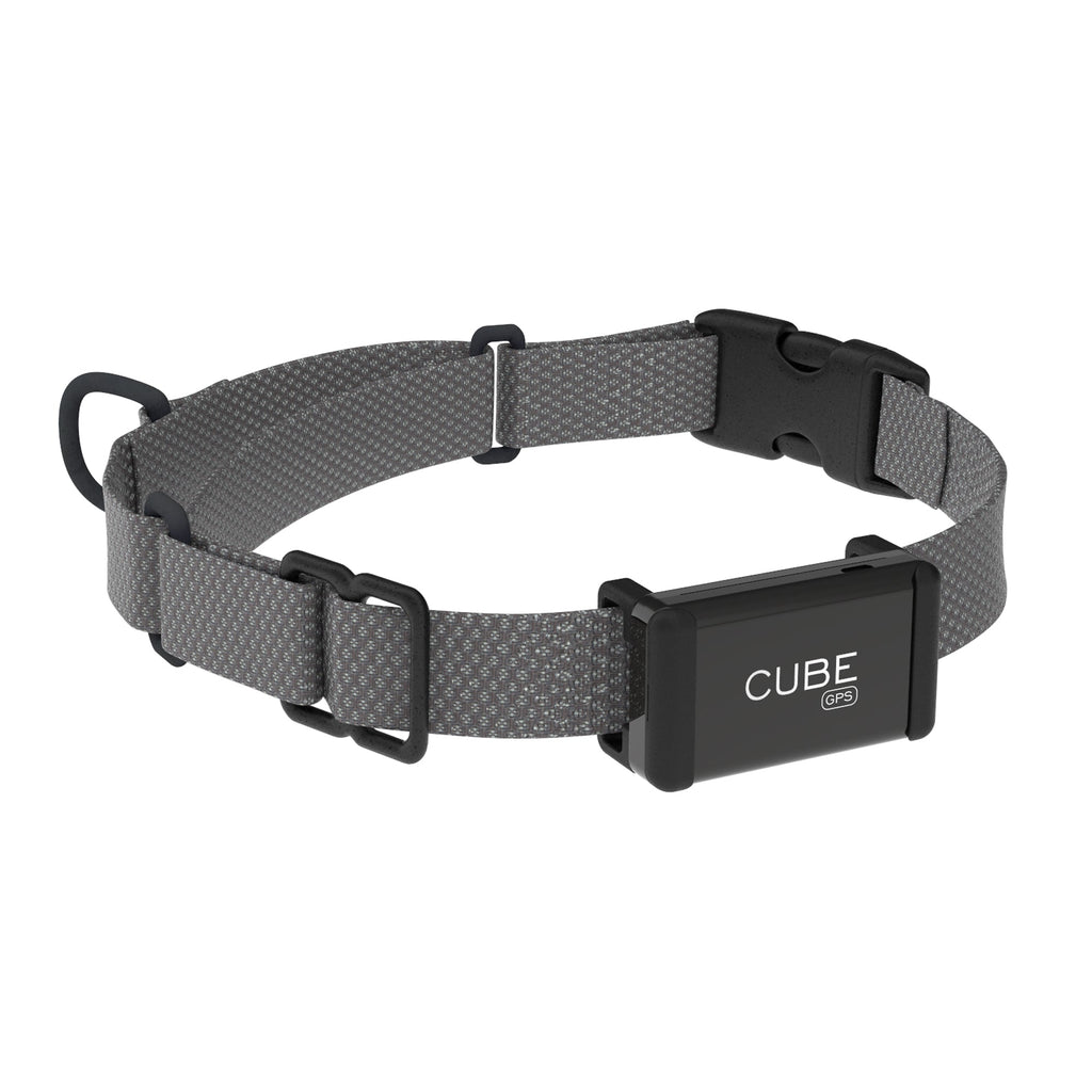 Cube GPS Tracker, Ultimate Real-Time Tracking | Cube Tracker
