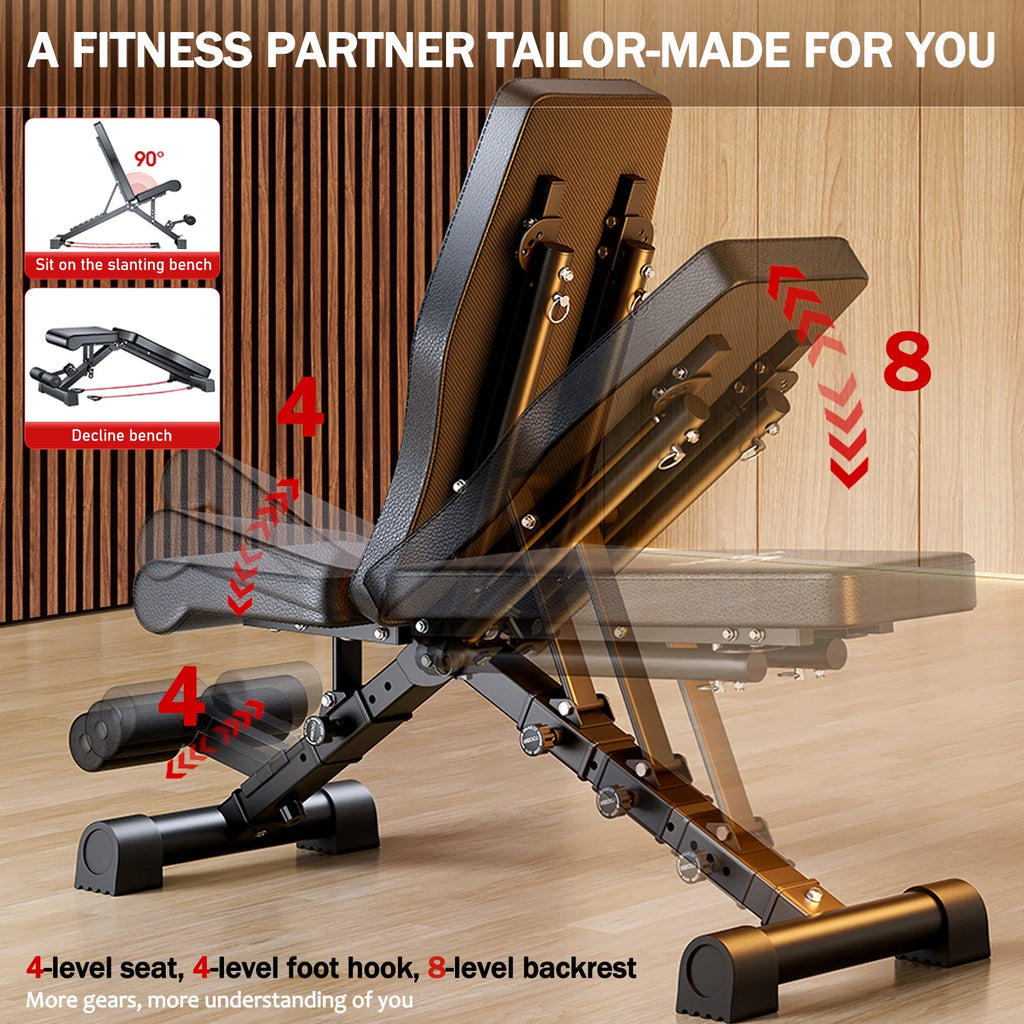 Adjustable Weight Bench for Full Body Workout, Multifunctional Strength Training, Dumbbell