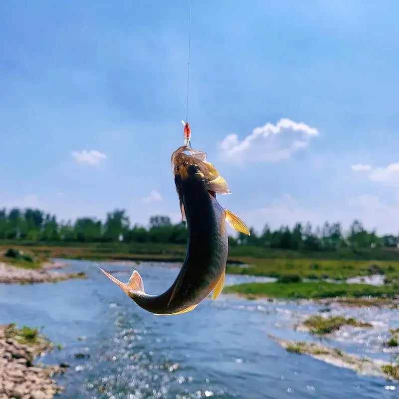 Trout Fishing Kit Bass Fishing Lure 5 Pieces Swim Bait Fish Spinners & Spinnerbaits For Walleye Carp Pike Panfish Sunfish