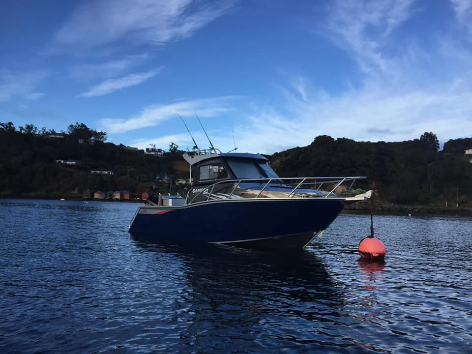 Aluminum Speed Boat 20ft/ 6m Profisher Aluminium Fishing Boat