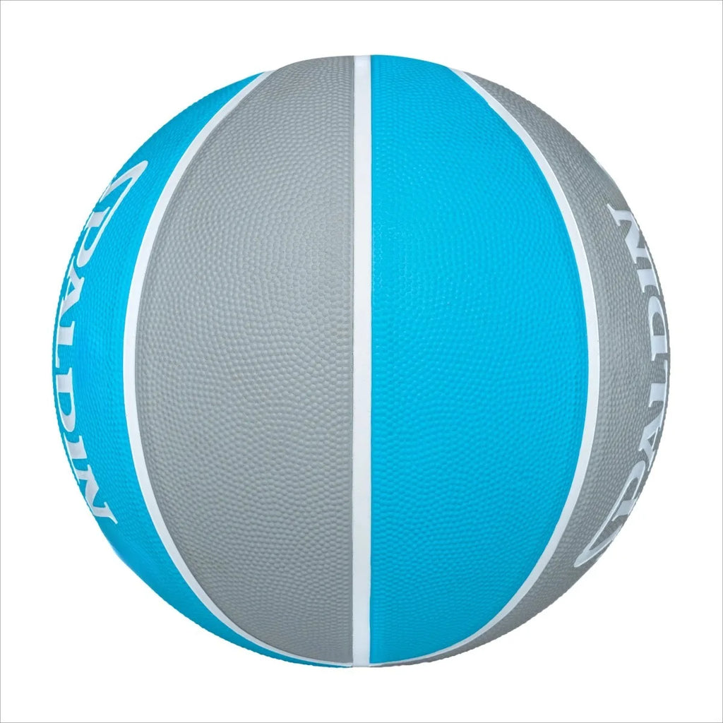 Fast Break All Surface Blue/Silver Basketball Size 7, 29.5"