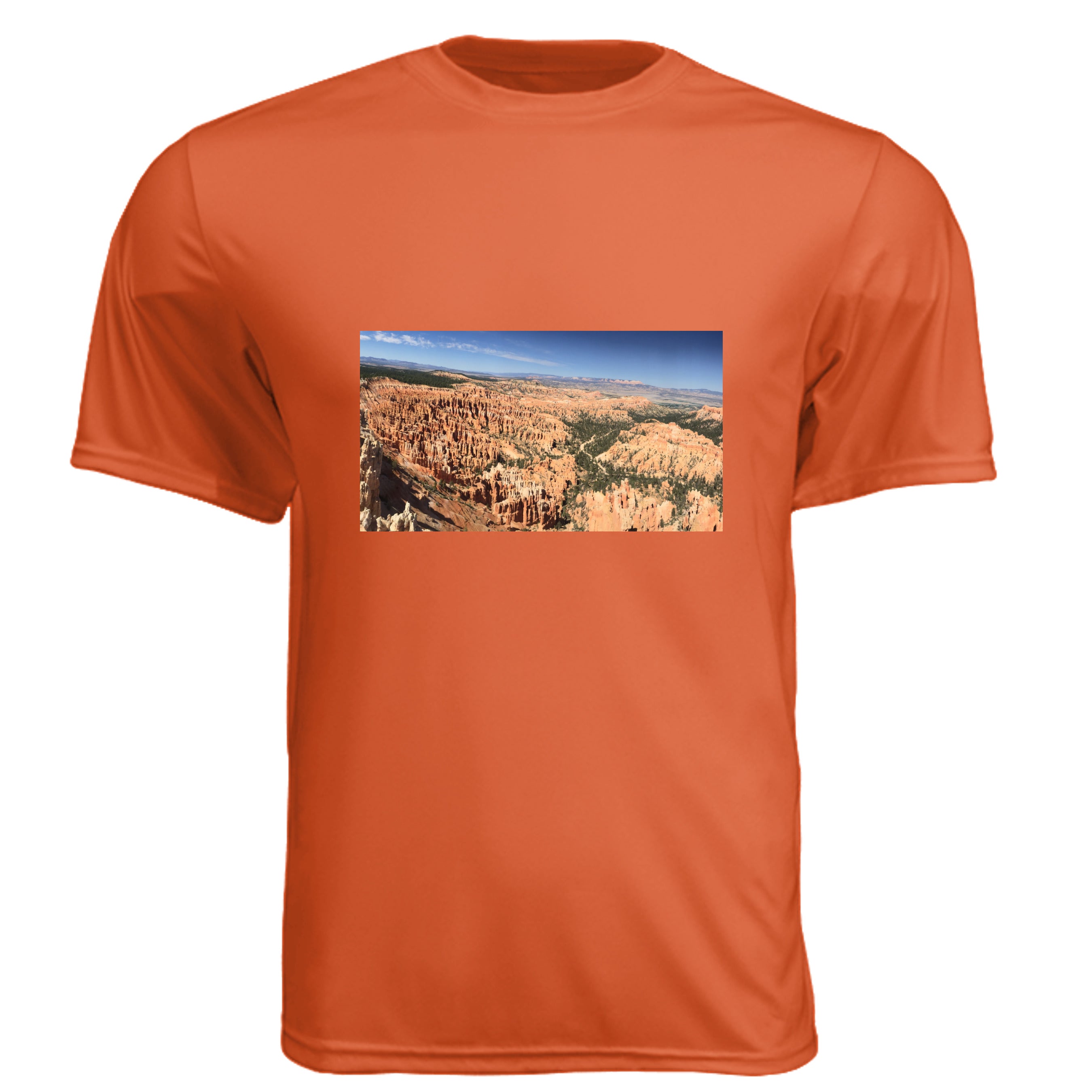 ATHLETIC ORANGE - N3142 - FRONT