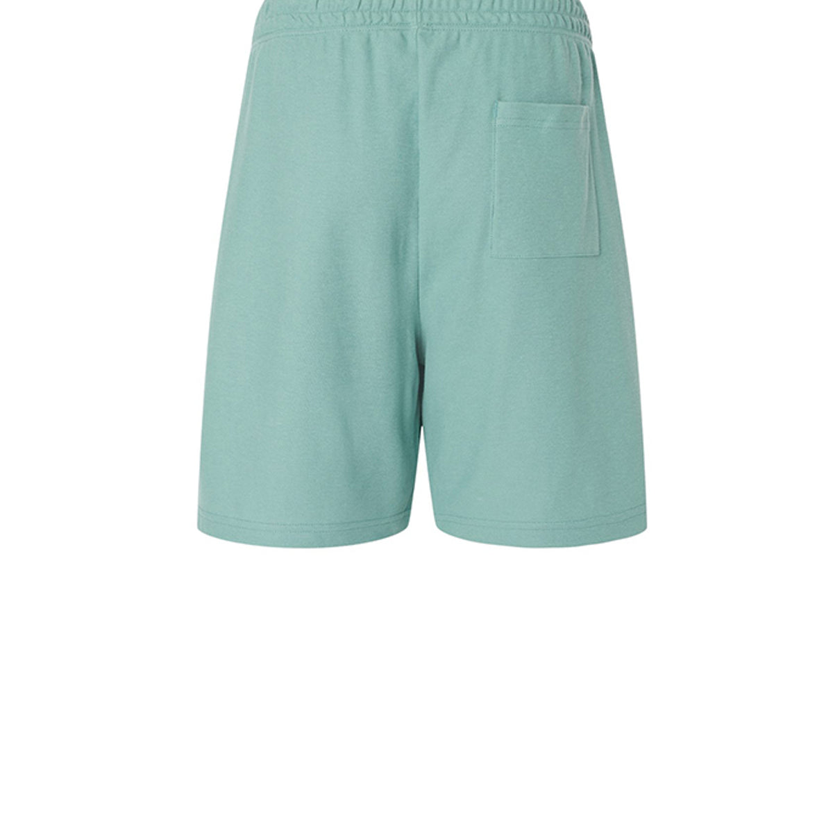 Arctic - 2PQ - BACK