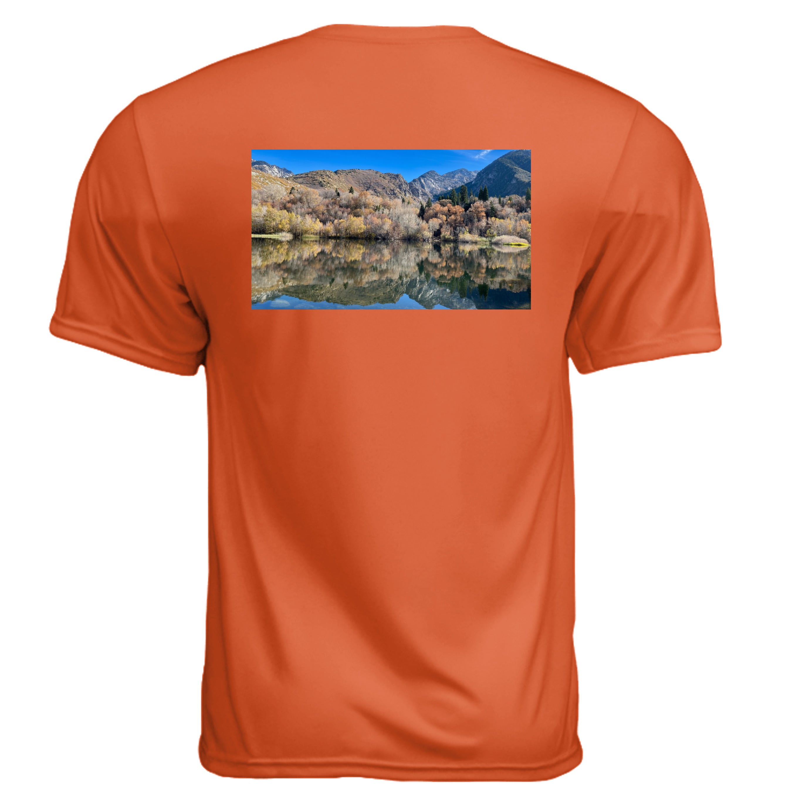 ATHLETIC ORANGE - N3142 - BACK