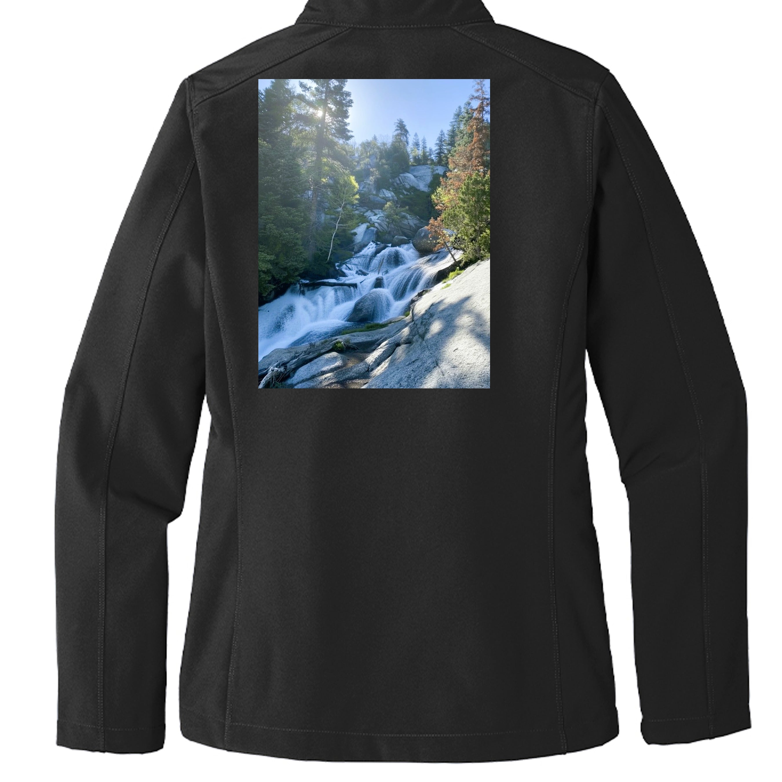 Black - L317 - BACK