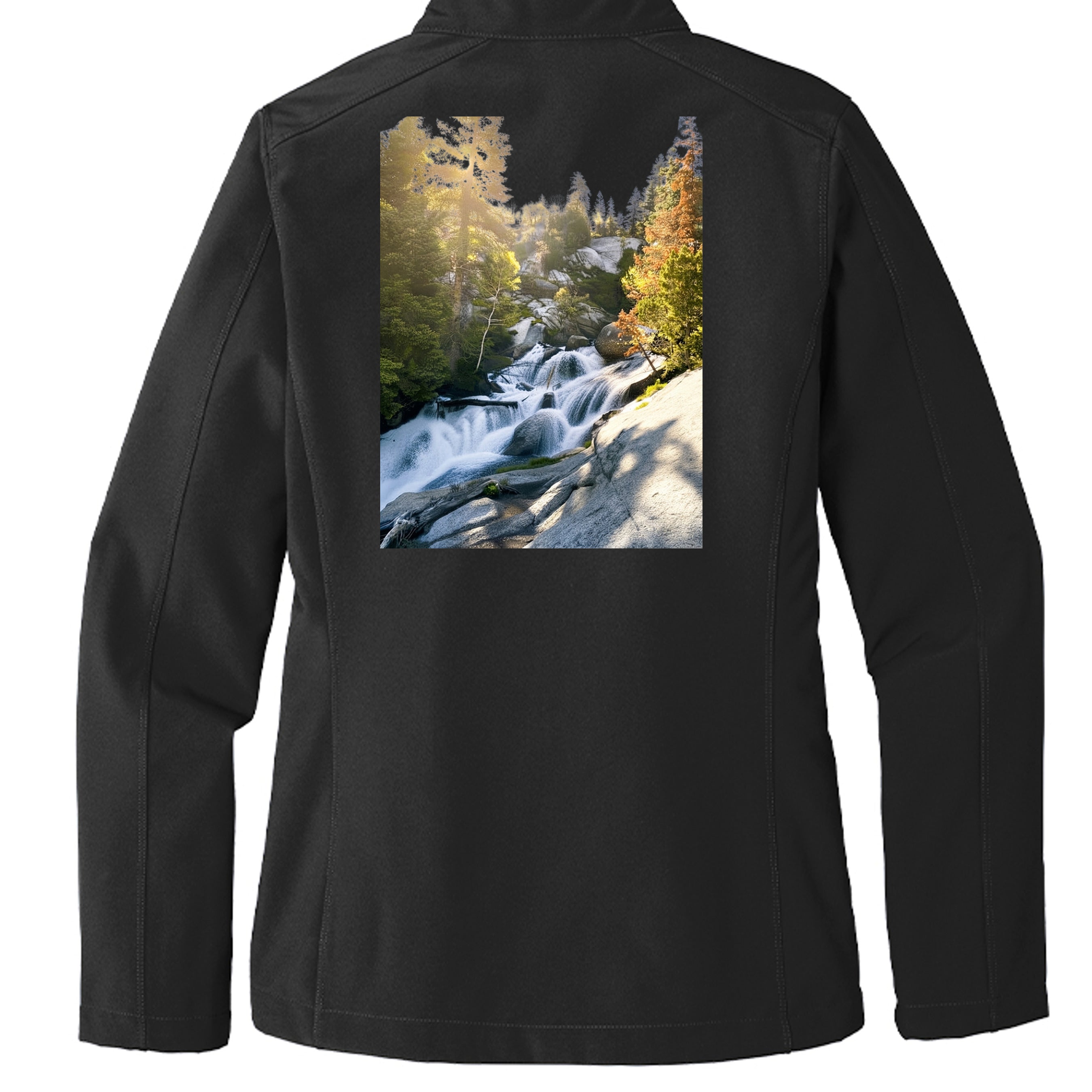 Black - L317 - BACK